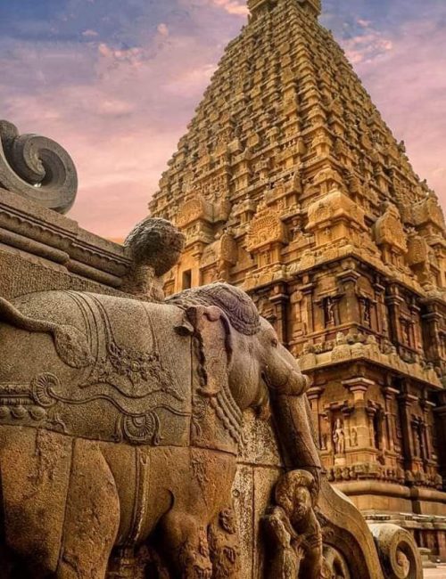 497fb2164758761e6740cbe359441a10