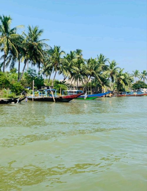 Closing Reflection — Krishna as Civilizational Lifeline