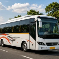 Comfortable Transport Comfortable Transport