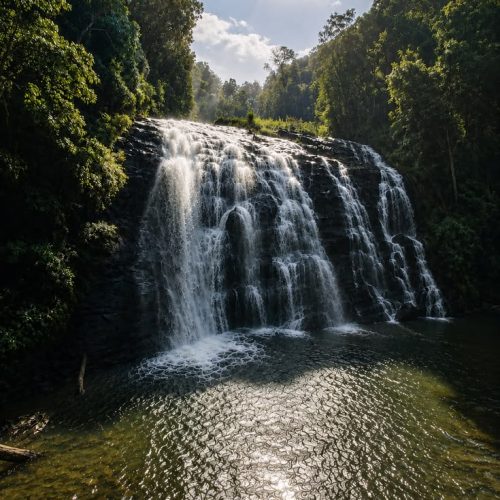 Coorg