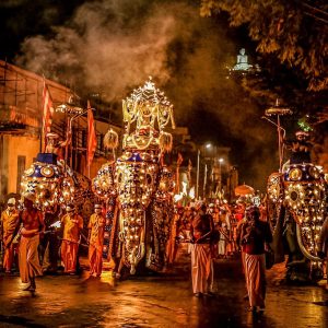 Festival Processions