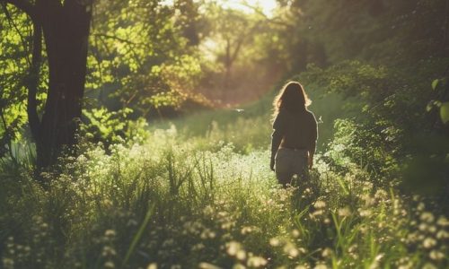 Forest Silence Walk
