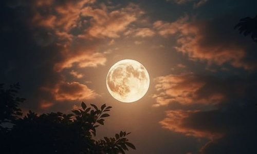 Moonlight Silence