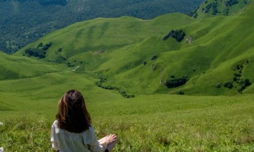 Mountain Contemplation