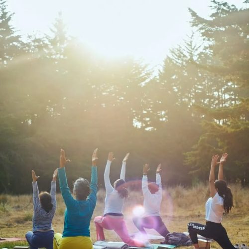 Nature Immersion