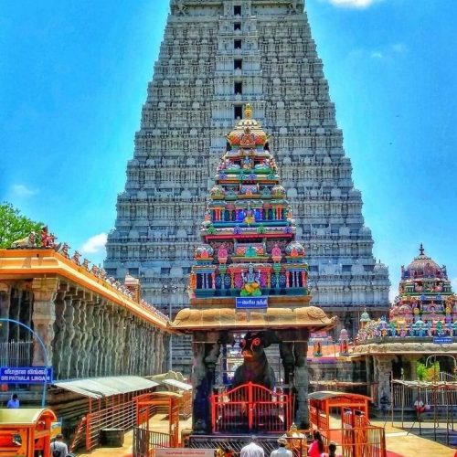 Rahu Ketu