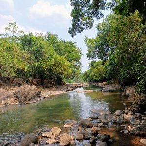 Riverbank Sadhana