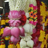 Temple Flower Sponsorship Temple Flower Sponsorship