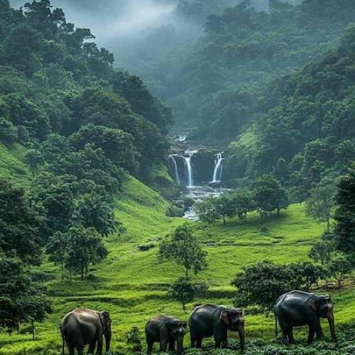 Wayanad
