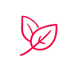 aparigraha-1 aparigraha-1