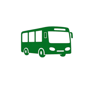 buses