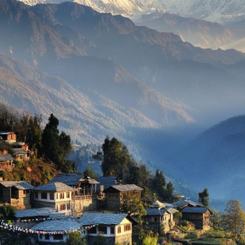 himalayan