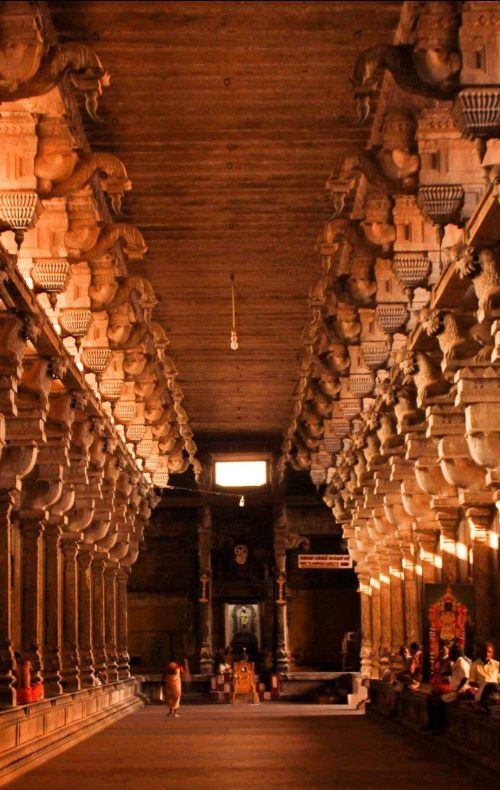 🌳 Family & Ancestral Rituals (Pitṛs & Lineage Healing)